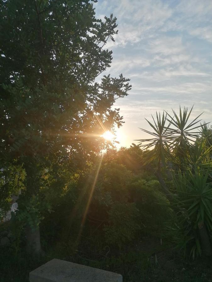 Masseria Agriturismo Il Sorriso Degli Ulivi - Dimora Di Charme Gallipoli Eksteriør billede