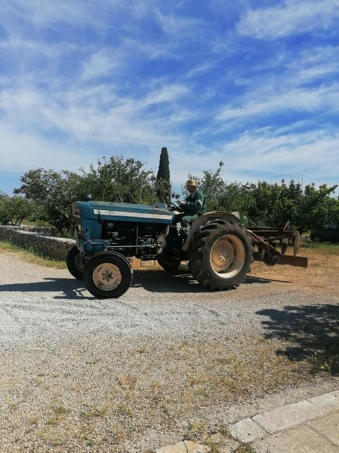 Masseria Agriturismo Il Sorriso Degli Ulivi - Dimora Di Charme Gallipoli Eksteriør billede