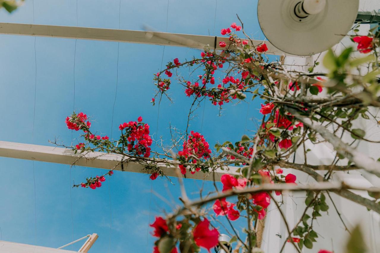 Masseria Agriturismo Il Sorriso Degli Ulivi - Dimora Di Charme Gallipoli Eksteriør billede