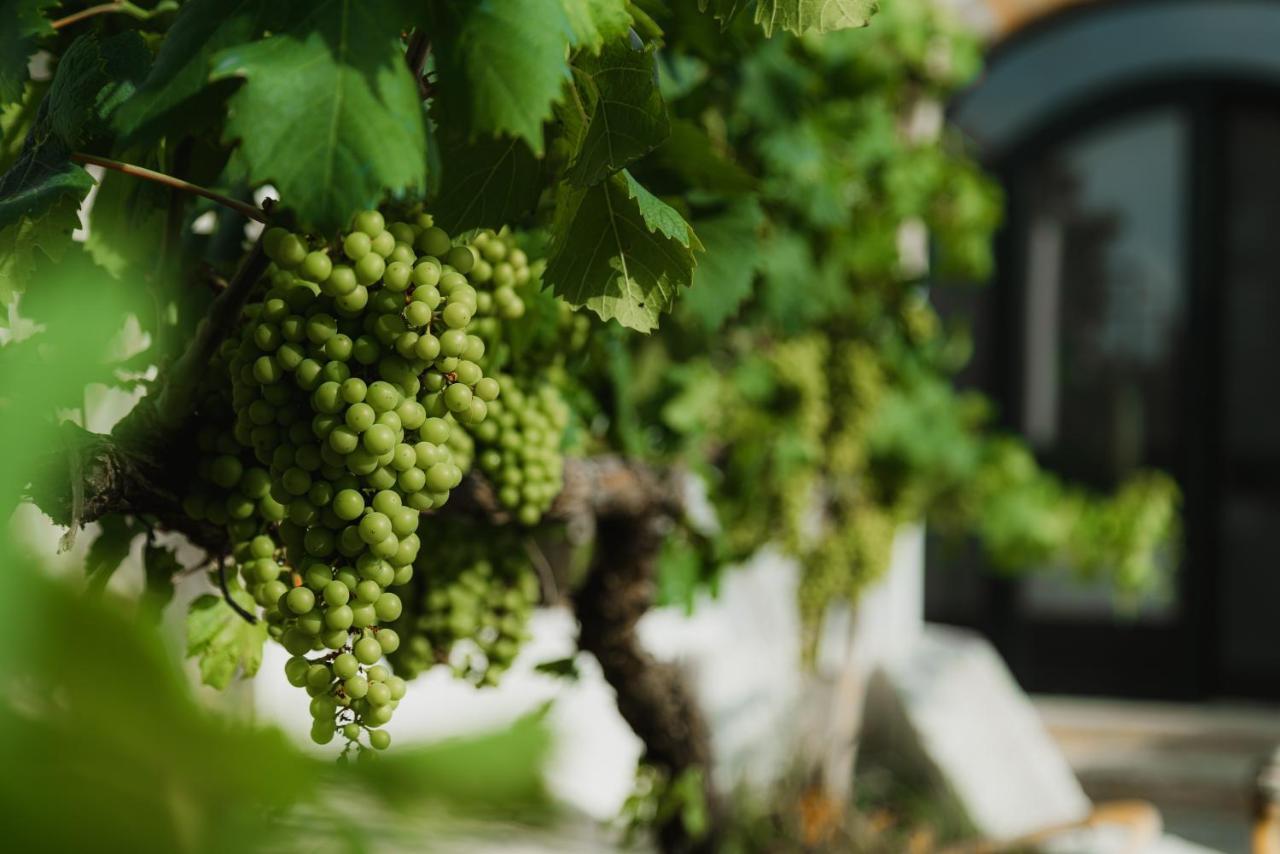 Masseria Agriturismo Il Sorriso Degli Ulivi - Dimora Di Charme Gallipoli Eksteriør billede